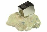 Shiny, Natural Pyrite Cube In Rock - Navajun, Spain #131156-1